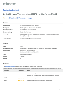Anti-Glucose Transporter GLUT1 antibody ab15309 Product datasheet 8 Abreviews 5 Images