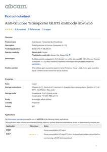 Anti-Glucose Transporter GLUT2 antibody ab95256 Product datasheet 4 Abreviews 3 Images
