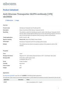 Anti-Glucose Transporter GLUT4 antibody [1F8] ab35826