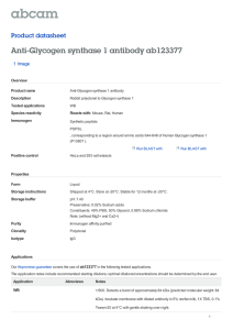 Anti-Glycogen synthase 1 antibody ab123377 Product datasheet 1 Image Overview