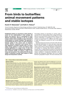 From birds to butterflies: animal movement patterns and stable isotopes Dustin R. Rubenstein