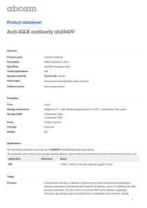 Anti-IGLK antibody ab28429 Product datasheet Overview Product name