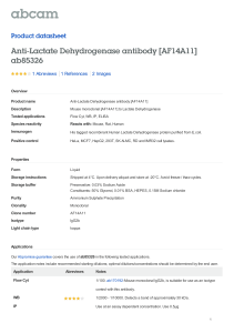 Anti-Lactate Dehydrogenase antibody [AF14A11] ab85326