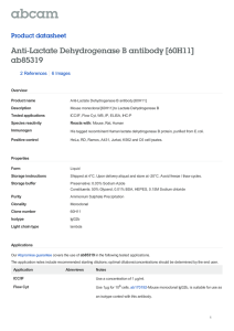 Anti-Lactate Dehydrogenase B antibody [60H11] ab85319