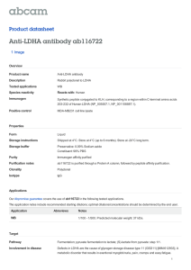 Anti-LDHA antibody ab116722 Product datasheet 1 Image Overview