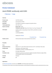 Anti-PDHX antibody ab31283 Product datasheet 1 References 1 Image