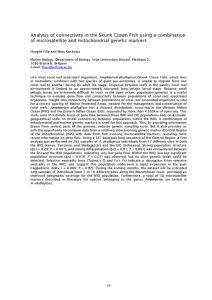 Analysis  o f  connectivity   in  the... o f   microsatellite  and  mito ch on...