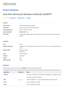 Anti-Non Neuronal Enolase antibody ab54979 Product datasheet 2 Abreviews 4 Images
