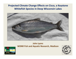 Projected Climate Change Effects on Cisco, a Keystone  Whitefish Species in Deep Wisconsin Lakes John Lyons WDNR Fish and Aquatic Research, Madison