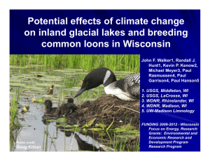Potential effects of climate change on inland glacial lakes and breeding