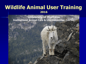 Wildlife Animal User Training 2016 University of Montana