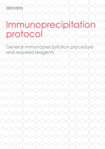 Immunoprecipitation protocol  General immunoprecipitation procedure