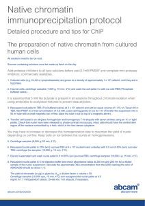 Native chromatin immunoprecipitation protocol Detailed procedure and tips for ChIP