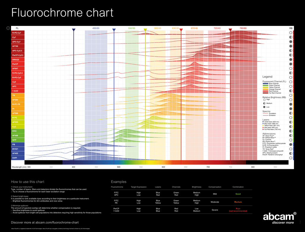 Bd Fluorochrome Chart