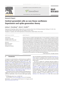 Cortical pyramidal cells as non-linear oscillators: Experiment and spike-generation theory Research Report
