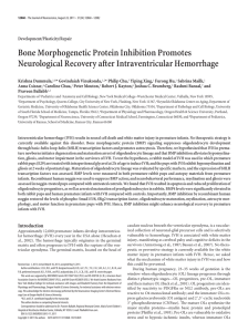 Bone Morphogenetic Protein Inhibition Promotes Neurological Recovery after Intraventricular Hemorrhage