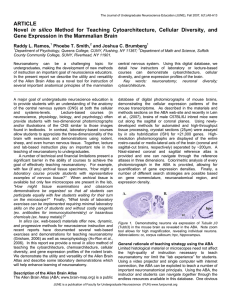 ARTICLE in silico Gene Expression in the Mammalian Brain Raddy L. Ramos,