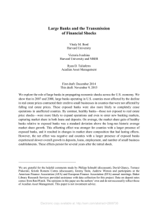 Large Banks and the Transmission of Financial Shocks