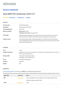Anti-MTCO2 antibody ab91317 Product datasheet 2 Abreviews 2 Images