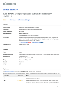 Anti-NADH Dehydrogenase subunit 6 antibody ab81212 Product datasheet 4 Abreviews