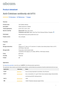 Anti-Catalase antibody ab16731 Product datasheet 16 Abreviews 7 Images