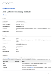 Anti-Catalase antibody ab88067 Product datasheet 3 Images Overview