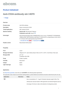 Anti-CD24 antibody ab118070 Product datasheet 1 Image