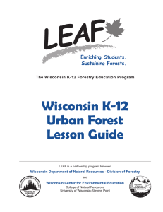 12 Wisconsin K- Urban Forest Lesson Guide