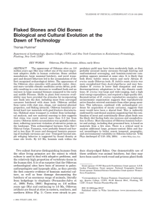 Flaked Stones and Old Bones: Biological and Cultural Evolution at the