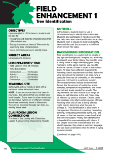 1 FIELD ENHANCEMENT Tree Identification