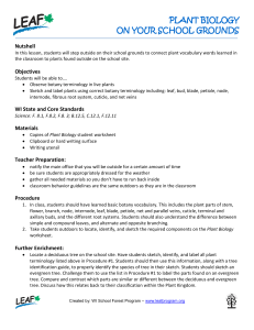 PLANT BIOLOGY ON YOUR SCHOOL GROUNDS  Nutshell