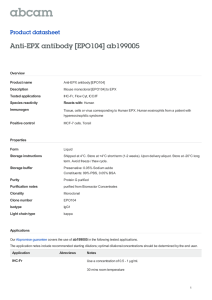 Anti-EPX antibody [EPO104] ab199005 Product datasheet Overview Product name