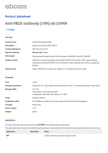 Anti-PKLR antibody [1H9] ab123908 Product datasheet 3 Images Overview