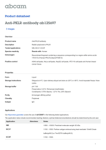 Anti-PKLR antibody ab125697 Product datasheet 3 Images Overview