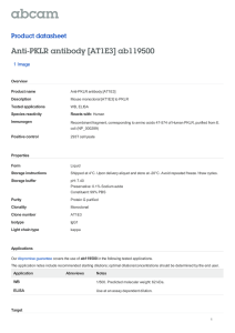 Anti-PKLR antibody [AT1E3] ab119500 Product datasheet 1 Image Overview