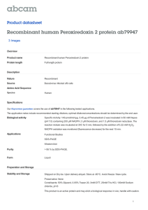 Recombinant human Peroxiredoxin 2 protein ab79947 Product datasheet 3 Images Overview