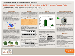 Sulforaphane Decreases Ezh2 Expression in PC3 Prostate Cancer Cells Chelsea Black