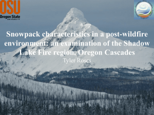 Snowpack characteristics in a post-wildfire environment: an examination of the Shadow