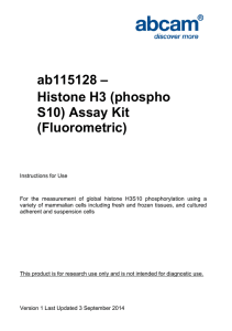 ab115128 – Histone H3 (phospho S10) Assay Kit (Fluorometric)