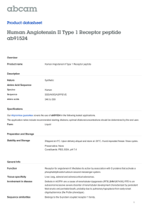 Human Angiotensin II Type 1 Receptor peptide ab91524