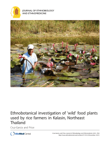 Ethnobotanical investigation of 'wild' food plants Thailand Cruz-Garcia and Price