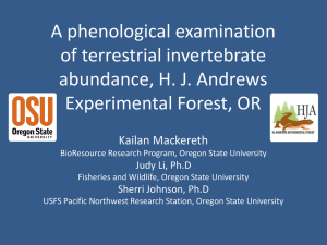 A phenological examination of terrestrial invertebrate abundance, H. J. Andrews Experimental Forest, OR