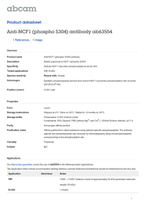 Anti-NCF1 (phospho S304) antibody ab63554 Product datasheet 1 References 1 Image