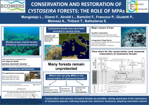 CONSERVATION AND RESTORATION OF  FORESTS: THE ROLE OF MPAs FORESTS: THE ROLE OF MPAs CYSTOSEIRA
