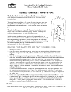 INSTRUCTION SHEET: KIDNEY STONE University of North Carolina Wilmington