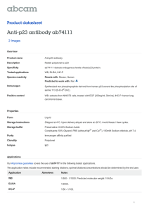 Anti-p23 antibody ab74111 Product datasheet 2 Images Overview