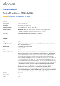 Anti-p23 antibody [JJ3] ab2814 Product datasheet 12 Abreviews 15 Images