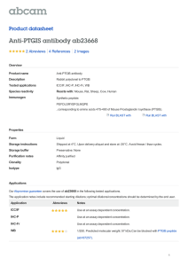 Anti-PTGIS antibody ab23668 Product datasheet 2 Abreviews 2 Images