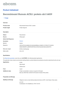 Recombinant Human ACSL1 protein ab116839 Product datasheet 1 Image Overview
