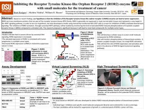 Inhibiting the Receptor Tyrosine Kinase-like Orphan Receptor 2 (ROR2) enzyme